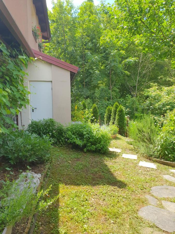 Apartment With Terrace Nona Pavla Tolmin Bagian luar foto