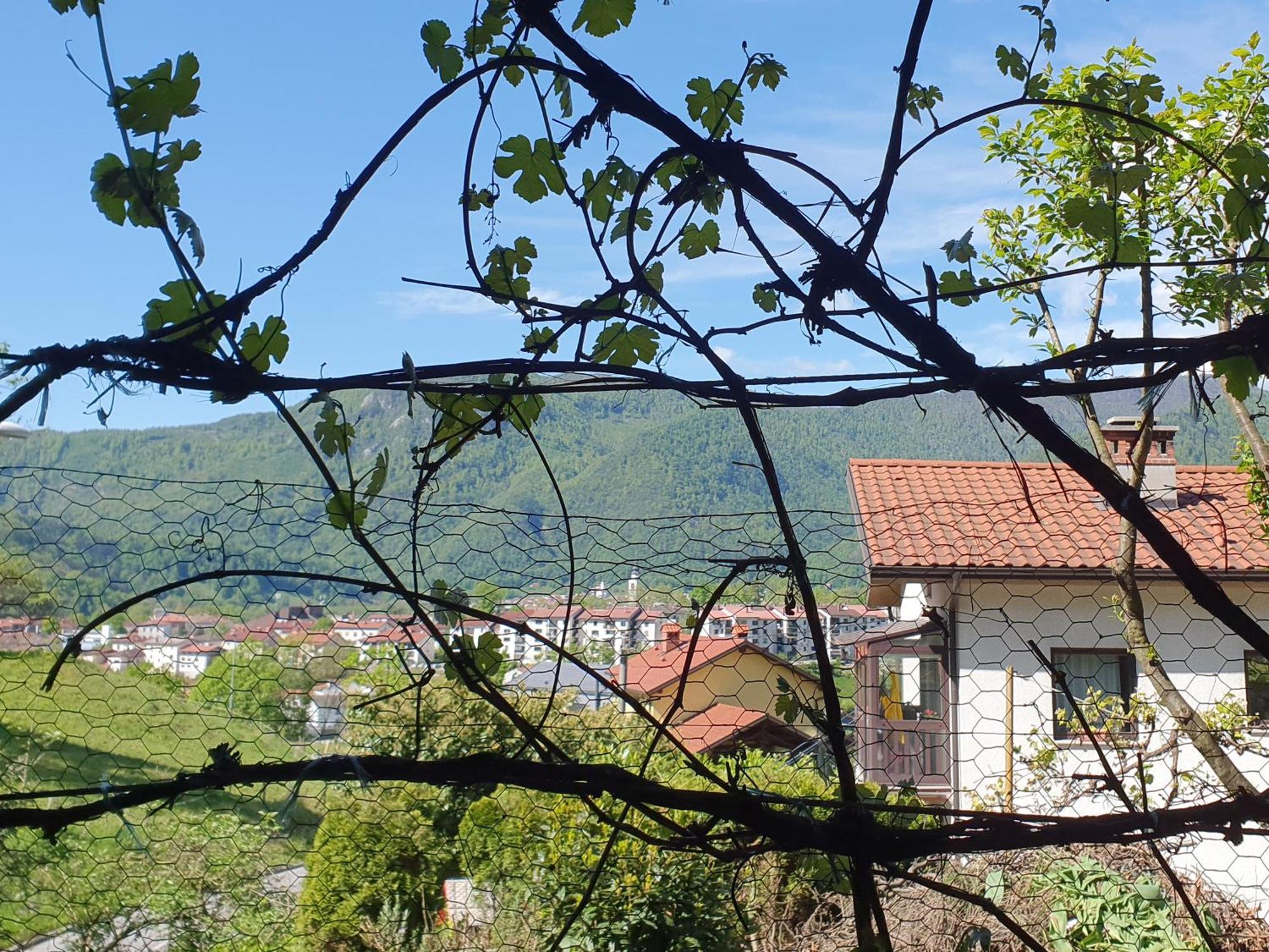 Apartment With Terrace Nona Pavla Tolmin Bagian luar foto
