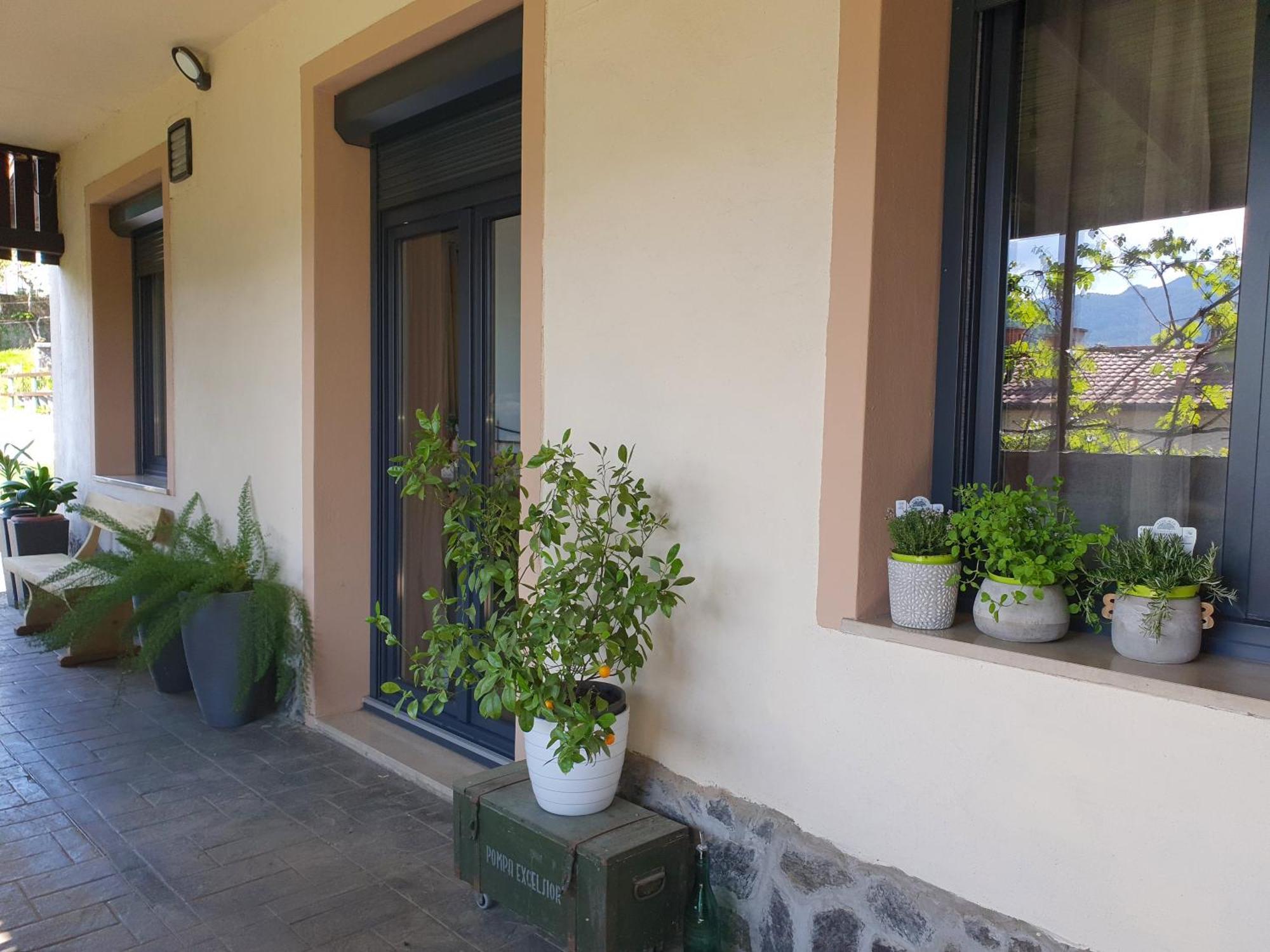 Apartment With Terrace Nona Pavla Tolmin Bagian luar foto